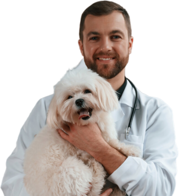becoma-a-vet