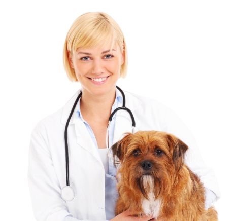 becoma-a-vet
