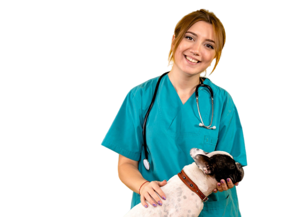 becoma-a-vet