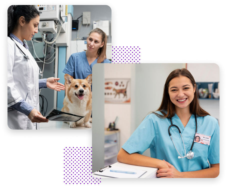 main image for vtspecialist