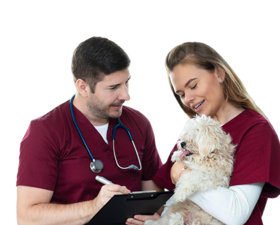 becoma-a-vet