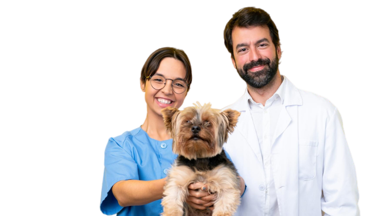 becoma-a-vet